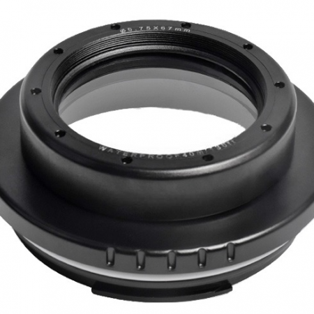 SEA FROGS FRONTAL PLANO FL1650